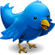 blue twitter bird for the big twitter experiment